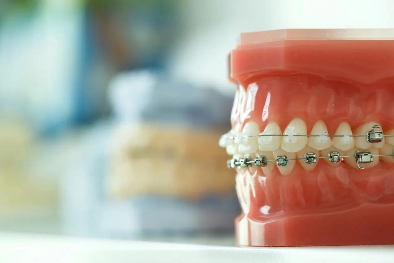 A close up of an artificial teeth model
